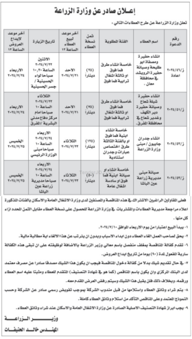 انشاء جدران جابيون / مبنى وزارة الزراعة