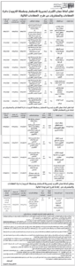 امانة-عمان-1-4