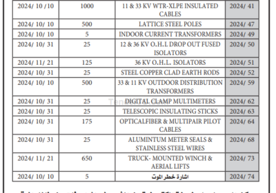 شركة-الكهرباء-1