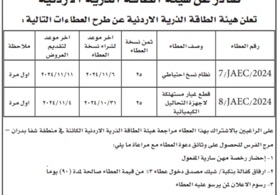 هيئة-الطاقة-